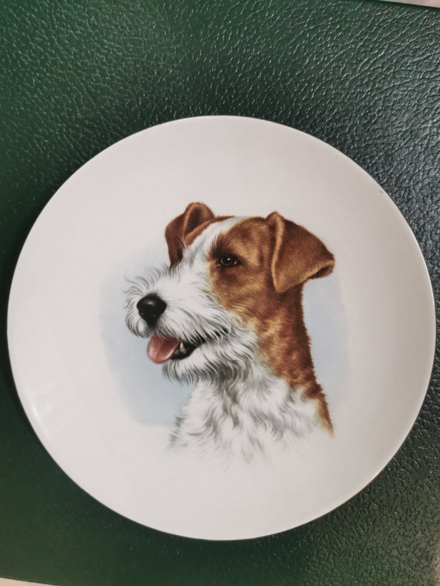 Burleigh Ironstone Dog Plate