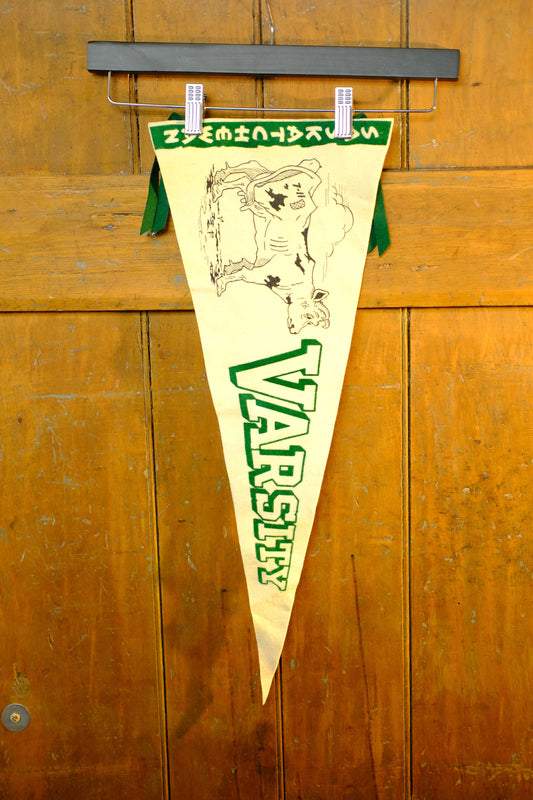 Saskatchewan Varsity Vintage Pennant