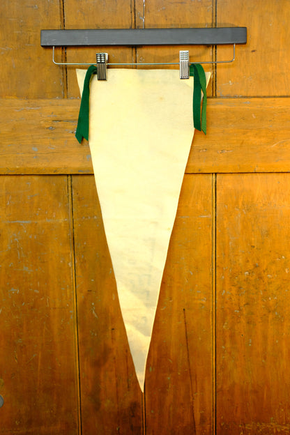 Saskatchewan Varsity Vintage Pennant