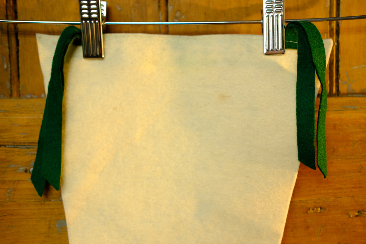 Saskatchewan Varsity Vintage Pennant