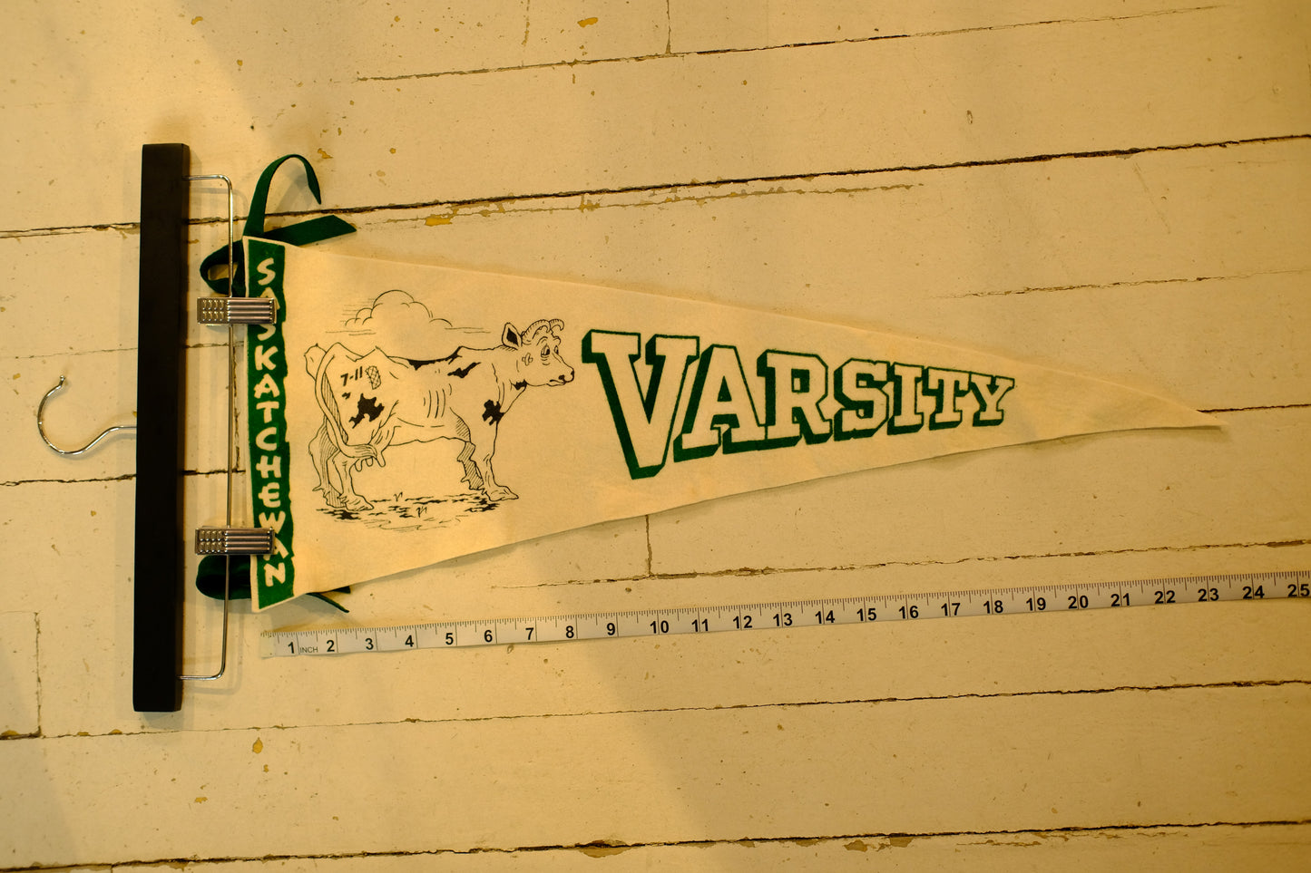 Saskatchewan Varsity Vintage Pennant