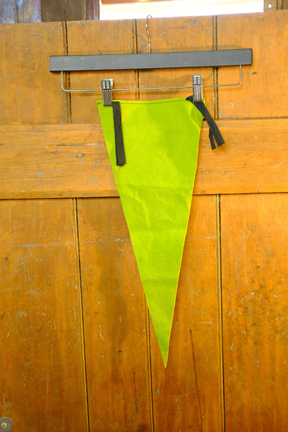 Saskatoon Pion-Era Vintage Pennant