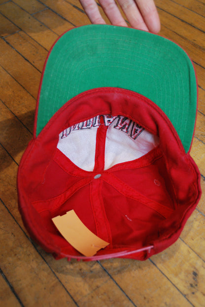 Vintage Indiana U Hat